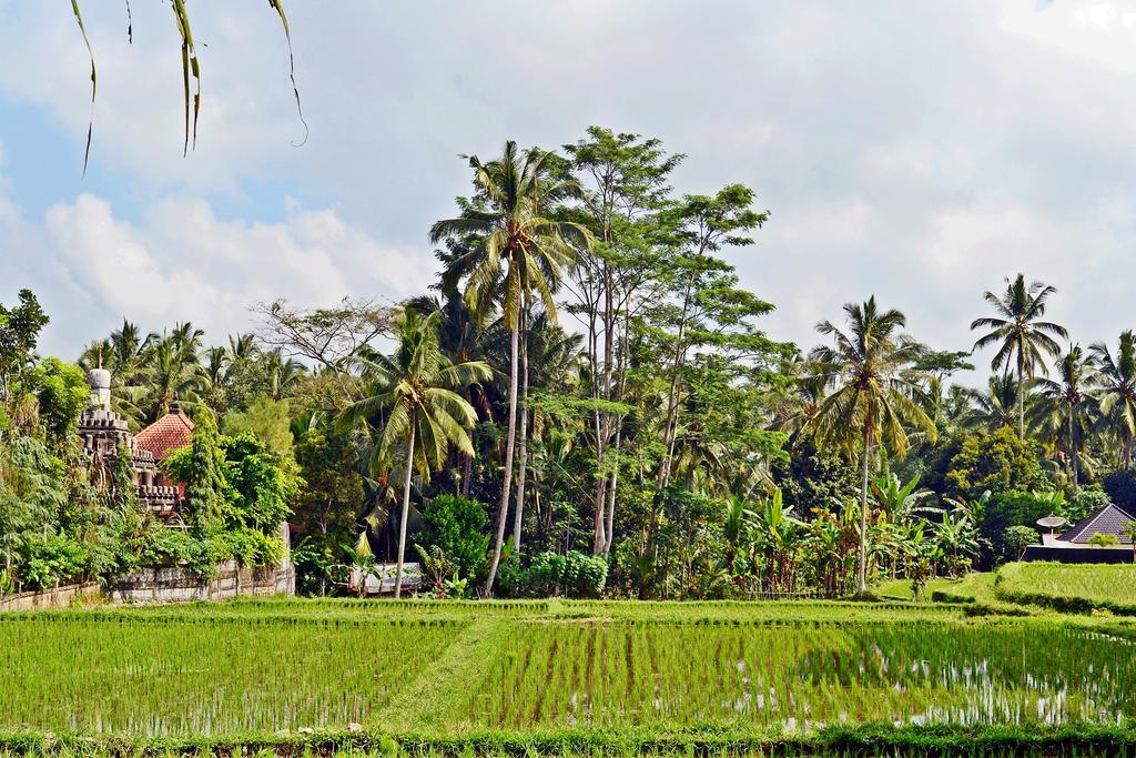 Ubud Kartini Hostel Bagian luar foto