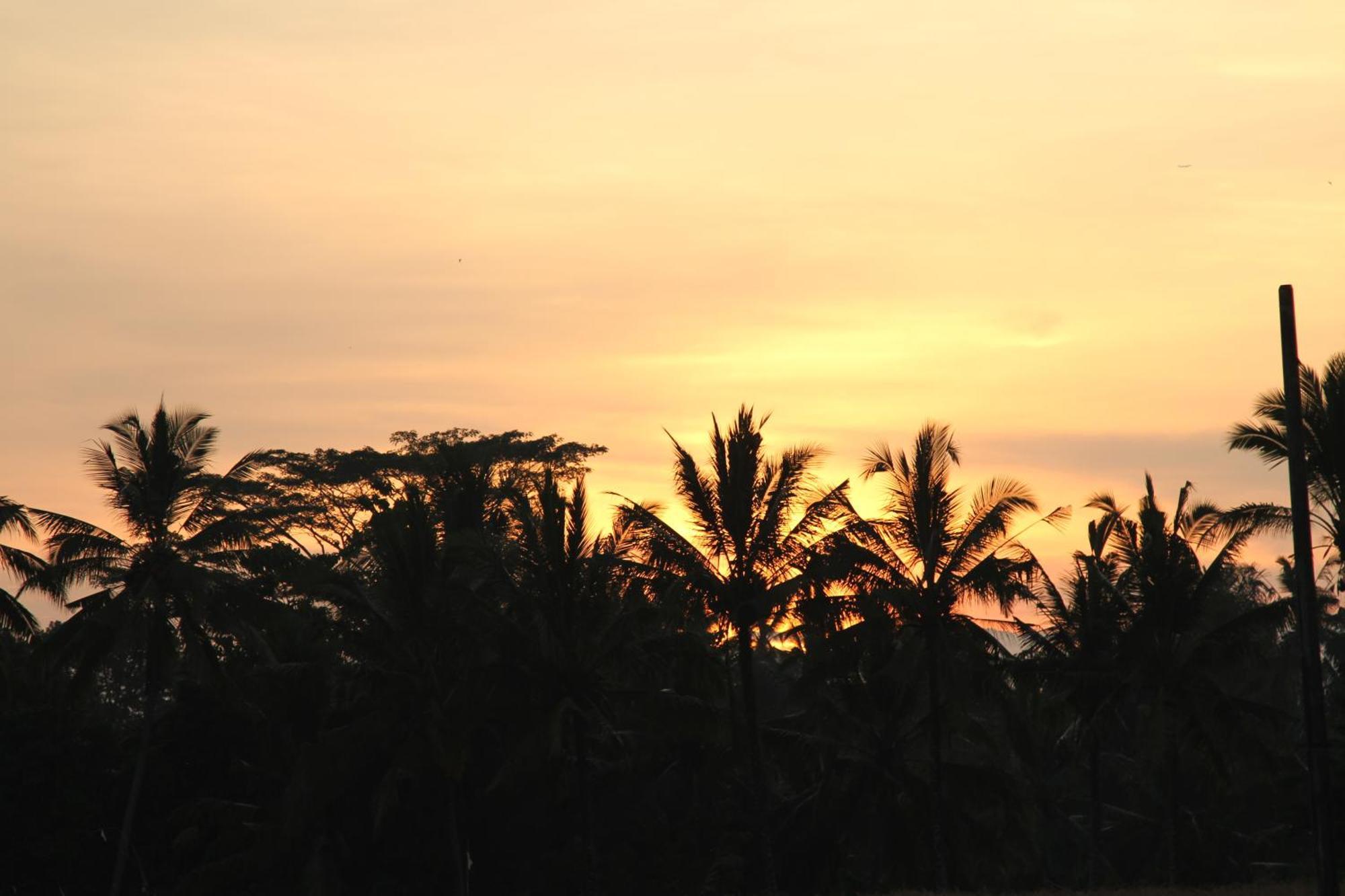 Ubud Kartini Hostel Bagian luar foto